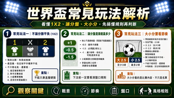 世界盃常見玩法